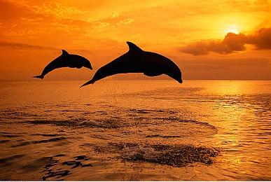 经营勇者游乐园！《噗噗的冒险乐园》蒸汽平台现已上线